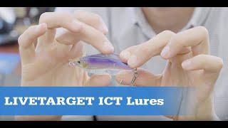 First Look LIVETARGET ICT Lures [upl. by Verada]