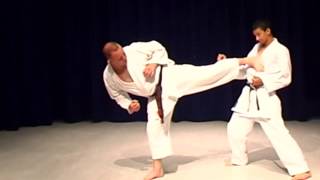 Shotokan Karate Exercise Ushiro Geri Back Kick [upl. by Yatnuhs]