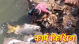 cyprinus carp fishing शिफरन मासे पकडणे tigerfishing [upl. by Joellyn]