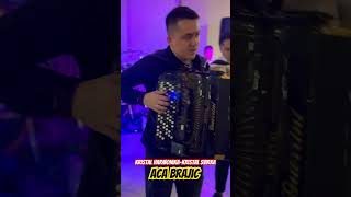 KRISTAL HARMONIKA  KRISTAL SVIRKA  ACA BRAJIC uzivo live muzika music wedding svadba brajic [upl. by Verlee]