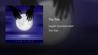 Naghib Shanbehzadeh  The Tide [upl. by Felipe]