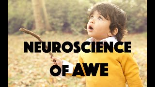 The Neuroscience of Awe  Review of Dr Dacher Keltners book Awe [upl. by Pine731]