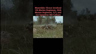 3rd Battalion 5th Marines Operation Mameluke Thrust [upl. by Rosenstein625]