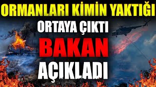 Ormanların Kimin Yaktığı Ortaya Çıktı Bakan Açıkladı [upl. by Silvan]