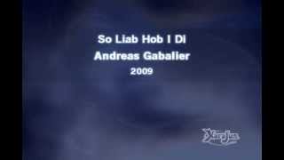 Andreas Gabalier  So Liab Hob I Di Karaoke mit Text [upl. by Atnas968]