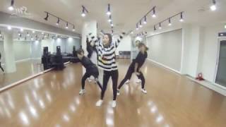 Red Velvet 레드벨벳  Rookie Dance Practice Ver Mirrored [upl. by Gabriele]