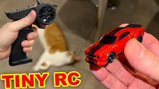 Worlds Smallest RC Car  Channel update [upl. by Imac]