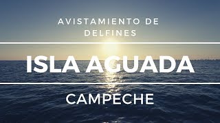 El mejor lugar para ver DELFINES  Isla Aguada Campeche [upl. by Ortrude]