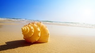 Geleide meditatie  visualisatie het strandhuisje 25 min [upl. by Razid]