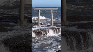 【釣れますように祈願】茨城🌊大洗磯前神社⛩️神磯の鳥居⛩️荒磯に波茨城大洗磯前神社神磯の鳥居夢と魔法の水辺にする党shorts [upl. by Coad641]