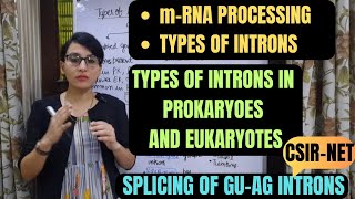 Types of Introns  Splicing of GUAG Introns  mRNA Splicing  CSIRNET [upl. by Ranip]