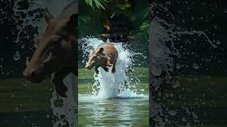 Tapir Secrets Revealed Watch Now 😮 tapir nature [upl. by Sokim]