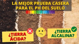 EL MEJOR Y MÁS FÁCIL TEST CASERO PARA MEDIR EL PH DEL SUELO  Corregir Tierra Ácida o Alcalina [upl. by Toby536]