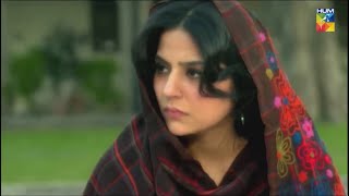 Shehwar Ka Hone Wala Dulha Kitna Smart Hai sanambaloch mikaalzulfiqar  Durr e Shehwar  HUM TV [upl. by Ajim]