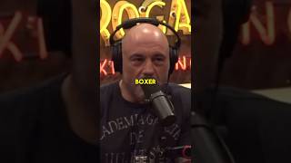 Joe Rogan  Is Tommy Fury A Real Boxer [upl. by Tiny]