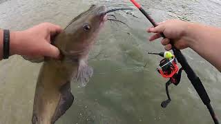 Fishing The Maumee  Monster of the Shallows Part 1 [upl. by Victoria]