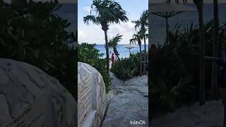 quotVive Xcaret Arte Tu Escape Soñadoquot [upl. by Regan]