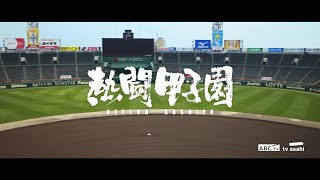 2023 熱闘甲子園「声が聴こえる。力になる。」 決勝戦まで連日放送！ [upl. by Leiram]