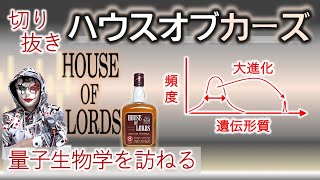 切り抜き HOUSE OF LORDS vs quotHouse of Cardsquot [upl. by Dlonra553]