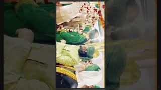 DARBAR SHARIF AHSANI AULIYA दरबार शरीफ अहसानी औलिया chadar poshi viralvideo islamic mazar sufi [upl. by Nohsar]