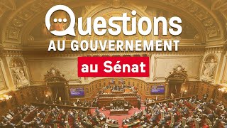 Direct 🔴 Questions dactualité au Gouvernement 231024 [upl. by Iand967]