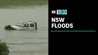 Floods leave farmers devastated on NSW MidNorth Coast  730 [upl. by Neerod]