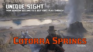 Cotorra Springs  Unique Sight RDRII [upl. by Etnuad]