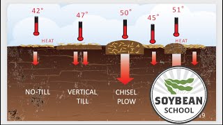 Soybean School To till or not to till [upl. by Trella]