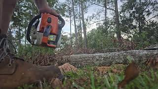 Stihl MS250 testing video for the customer [upl. by Jeroma534]