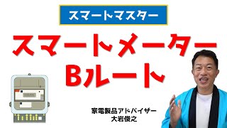 スマートメーターBルート スマートハウスの基礎 スマートマスター [upl. by Ahsenav]