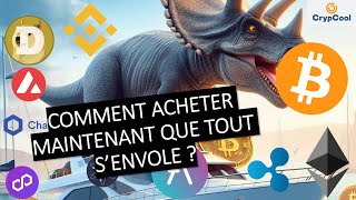 Investir 5 de son portefeuille dans lécosystème cryptos 011224 [upl. by Aileek904]