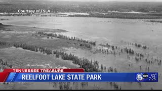 Tennessee Treasure Reelfoot Lake State Park [upl. by Clercq246]