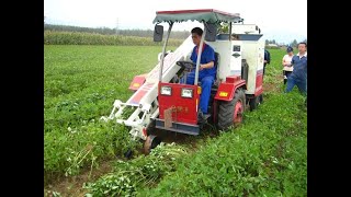 peanut harvester working video [upl. by Warden]