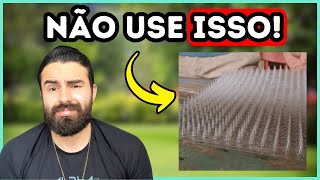 Veterinário Influencer Disse Isso Mas Está ERRADO [upl. by Franek834]