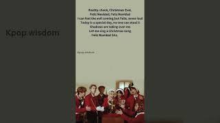 Christmas evel 🎄straykids christmasevel winterfalls [upl. by Fanya]