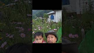 Family trip to hornbill homestay pakkekessang cosmosflower explorepage nature cottage  fyp [upl. by Meri]