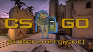 Counter Strike Globally Offensive [upl. by Airaet]