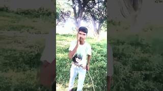 गलत chedh Diya🤣🤣 ll Comedy cove By Ranjeet Rox1kshorts comedy [upl. by Remlap145]