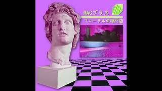 Macintosh Plus  リサフランク420  現代のコンピュー  Mr Introvert Remix [upl. by Lemmueu]