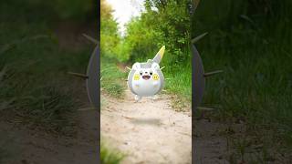 Togedemaru is on a roll ⚡️🔩 PokemonGO [upl. by Draw]