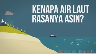 Kenapa Air Laut Rasanya Asin [upl. by Aicitel]