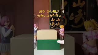 開封動画までは少々お待ちください（大箱ロレックス購入） [upl. by Olecram773]