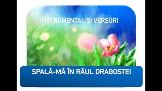 Spalămă în râul dragostei  Surorile Osoianu  Instrumental și Versuri [upl. by Eno239]