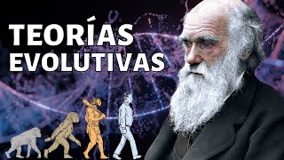 Las TEORÍAS EVOLUTIVAS explicadas Leclerc Lamarck Wallace Darwin otros🦒 [upl. by Jankell]