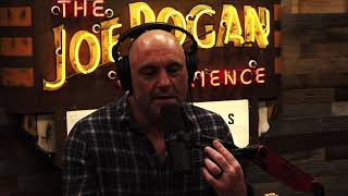 Joe Rogan on Toxoplasmosis [upl. by Regnij]