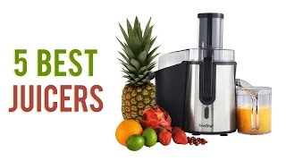 5 Best Juicers  Top Juicer Reviews UPDATED [upl. by Aneelas]