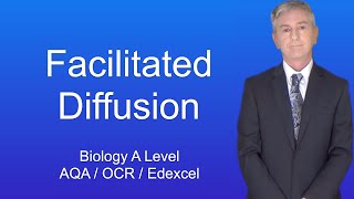 A Level Biology Revision quotFacilitated Diffusionquot [upl. by Abigail]