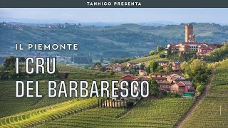 Alla scoperta della zona di Barbaresco e i suoi Cru  Tannico Flying School [upl. by Elephus]