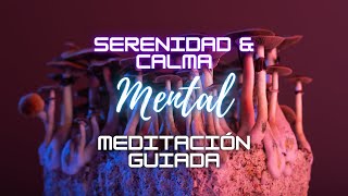 15 min Meditación psicodélica guiada Serenidad amp calma mental Aprende a estar en el aquí y ahora [upl. by Collie]