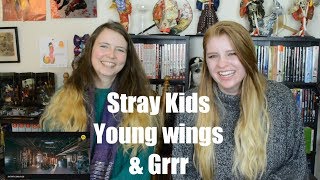 Stray Kids Young Wings Grrr Performance Video Reaction [upl. by Osmo572]